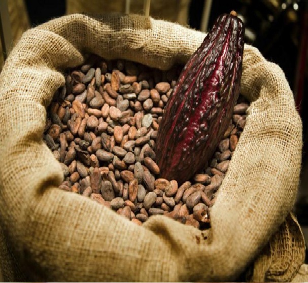COCOA